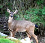 Connecting with A Festive Heart